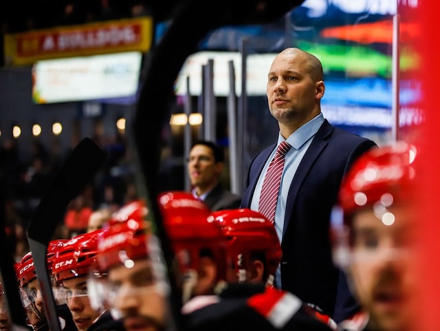 Griffins’ Ben Simon: Great experience coaching Red Wings for a game